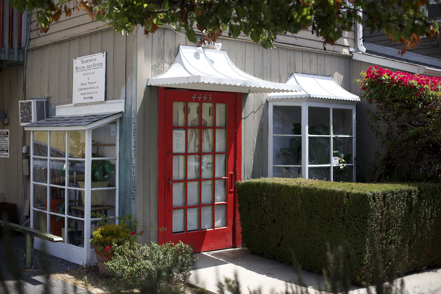 Inside the Jeiran Lashai Acupuncture office on Sunset Drive in Silver Lake, Los Angeles